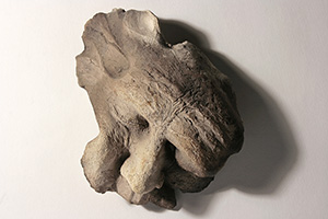 Image 6-5
